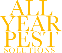 All Year Pest Solutions
